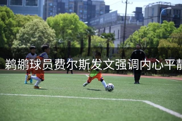 鹈鹕球员费尔斯发文强调内心平静，暗示持有重要凭证